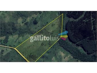 https://www.gallito.com.uy/campo-20-ha-sierras-garzon-sobre-camino-y-costa-al-arroyo-inmuebles-25763860