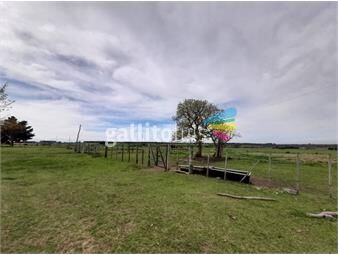 https://www.gallito.com.uy/venta-campo-124-ha-en-san-jose-usd-4700ha-inmuebles-25892705