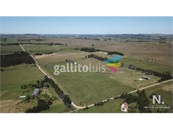 https://www.gallito.com.uy/chacra-en-venta-en-ruta-12-proximo-a-pueblo-eden-inmuebles-24995826