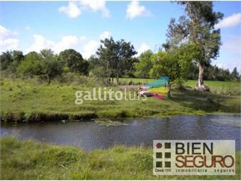 https://www.gallito.com.uy/chacra-de-6-6-has-con-2-casas-en-venta-en-cerrillos-al-sur-inmuebles-24245501