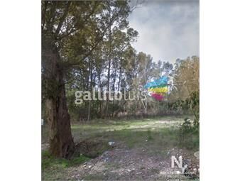 https://www.gallito.com.uy/terreno-a-la-venta-en-el-tesoro-maldonado-la-barra-inmuebles-25041581