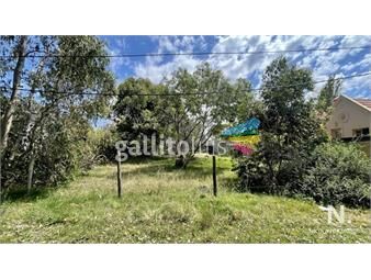 https://www.gallito.com.uy/en-venta-espacioso-terreno-de-470-m2-en-el-tesoro-la-barra-inmuebles-25348319