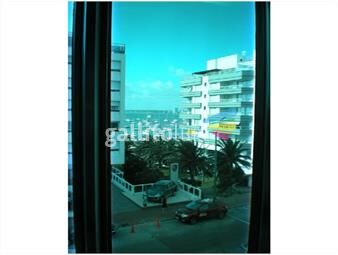 https://www.gallito.com.uy/apartamento-en-peninsula-3-dormitorios-inmuebles-19479586