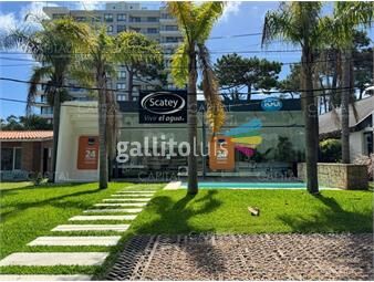 https://www.gallito.com.uy/local-en-venta-punta-del-este-inmuebles-22323690