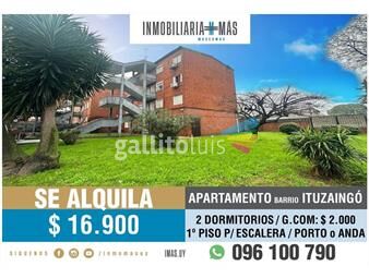 https://www.gallito.com.uy/apartamento-alquiler-ituzaingo-montevideo-imasuy-fc-inmuebles-25686535