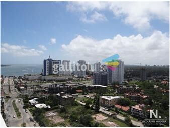 https://www.gallito.com.uy/forest-tower-2-dormitorios-y-medio-venta-y-alquiler-punta-d-inmuebles-25036358