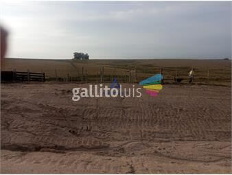 https://www.gallito.com.uy/campo-en-venta-inmuebles-25910335