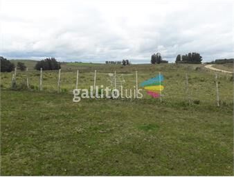 https://www.gallito.com.uy/campo-21-has-en-paraje-jose-ignacio-inmuebles-25405921