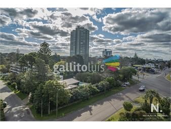 https://www.gallito.com.uy/venta-apartamento-de-3-dormitorios-en-zona-roosevelt-punta-inmuebles-25771644