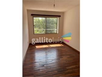 https://www.gallito.com.uy/venta-monoambiente-parque-rodo-inmuebles-25023084