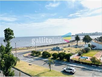 https://www.gallito.com.uy/pocitos-nuevo-venta-apartamento-3-dormitorios-servicio-inmuebles-25919278