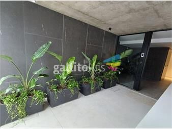 https://www.gallito.com.uy/divino-2-dorm-a-estrenar-sobre-cruce-de-avenidas-inmuebles-25706255