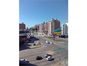 https://www.gallito.com.uy/alquiler-apartamento-dos-dormitorios-con-parrillero-en-parq-inmuebles-25919743