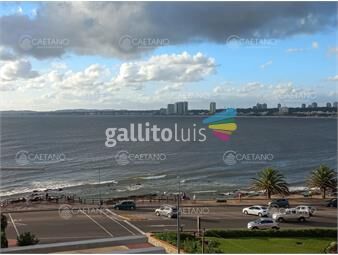 https://www.gallito.com.uy/vende-apartamento-en-peninsula-2-dormitorios-mas-servicio-inmuebles-21451636