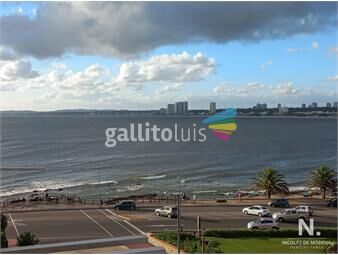 https://www.gallito.com.uy/vende-apartamento-en-peninsula-2-dormitorios-mas-servicio-inmuebles-25036537