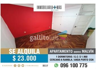 https://www.gallito.com.uy/apartamento-alquiler-1dormitorio-punta-gorda-imasuy-t-inmuebles-25928658