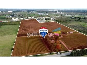 https://www.gallito.com.uy/venta-chacra-campo-melilla-7-5-has-inmuebles-25541950