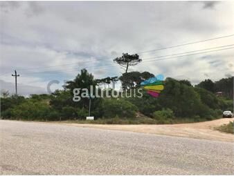 https://www.gallito.com.uy/venta-lote-1000m2-a-dos-cuadras-de-la-playa-en-venta-ch-inmuebles-25748928