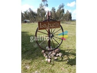 https://www.gallito.com.uy/chacra-en-venta-15ha-ruta-12-lavalleja-inmuebles-25934817