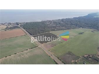 https://www.gallito.com.uy/excepcional-fraccion-agricola-en-colonia-inmuebles-25924501