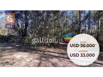 https://www.gallito.com.uy/terreno-en-punta-del-este-sauce-de-portezuelo-ref-6068-inmuebles-25944382