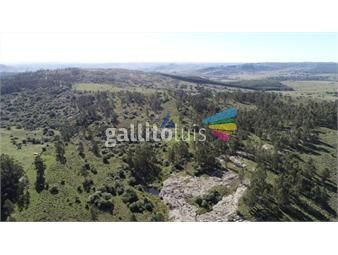 https://www.gallito.com.uy/campo-en-venta-237hec-inmuebles-20277735