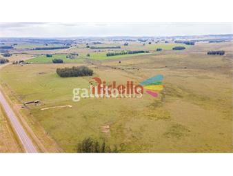 https://www.gallito.com.uy/campo-en-venta-54-hectareas-ruta-39-inmuebles-25828151