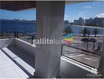 https://www.gallito.com.uy/departamento-a-metros-del-mar-y-puerto-punta-del-este-inmuebles-25034518