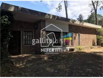 https://www.gallito.com.uy/casa-3-dormitorios-en-san-rafael-inmuebles-24614558