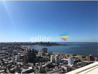 https://www.gallito.com.uy/estrellas-del-sur-torre-252404-venta-con-renta-1-dormitori-inmuebles-25127976