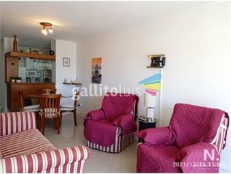 https://www.gallito.com.uy/apartamento-de-1-dormitorio-y-medio-en-brava-muy-buen-esta-inmuebles-25955007