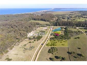 https://www.gallito.com.uy/venta-lote-de-4000mts-en-chacras-de-jose-ignacio-inmuebles-23858886