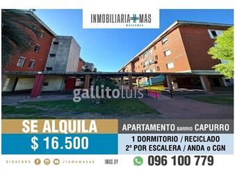 https://www.gallito.com.uy/apartamento-alquiler-1-dormitorio-en-capurro-imasuy-mc-inmuebles-25955637