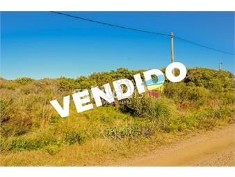 https://www.gallito.com.uy/terrenos-venta-punta-colorada-te815-inmuebles-24445158