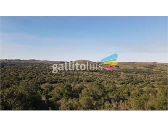 https://www.gallito.com.uy/venta-de-campo-135-ha-en-agus-blancas-ref-7643-inmuebles-25759581