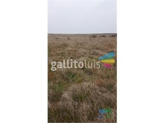 https://www.gallito.com.uy/1200-has-campo-ganadero-buen-precio-inmuebles-25972191