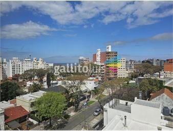 https://www.gallito.com.uy/arenas-de-velsen-malvin-venta-1-dorm-a-estrenar-inmuebles-22491383