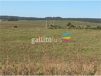 https://www.gallito.com.uy/venta-campo-322-has-ganadero-agricola-inmuebles-25124594