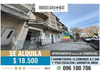 https://www.gallito.com.uy/apartamento-alquiler-2-dormitorios-la-comercial-imasuy-r-inmuebles-25978728