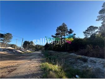 https://www.gallito.com.uy/venta-terreno-montes-de-solymar-uss-20000-de-entrega-mas-inmuebles-25976054