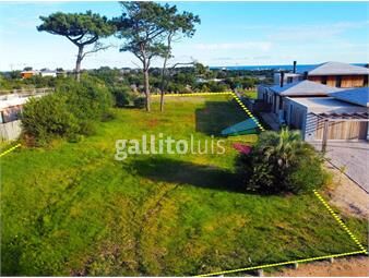 https://www.gallito.com.uy/venta-lote-pinar-del-faro-jose-ignacio-inmuebles-25397622