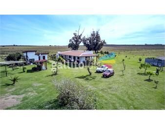 https://www.gallito.com.uy/venta-campo-50-ha-en-capilla-de-cella-canelones-inmuebles-24683184