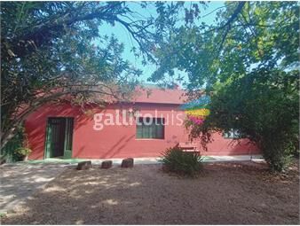 https://www.gallito.com.uy/venta-manga-terreno-5-unidades-de-renta-10-inmuebles-25985209