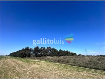 https://www.gallito.com.uy/venta-campo-en-ruta-1-kilometro-16-inmuebles-25985240