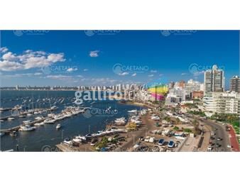 https://www.gallito.com.uy/puerto-de-punta-del-este-hermoso-apto-para-disfrutar-inmuebles-20533883