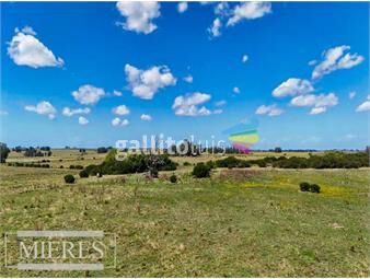 https://www.gallito.com.uy/venta-campo-125-has-maldonado-agricola-ganadero-r-7469-inmuebles-25151265