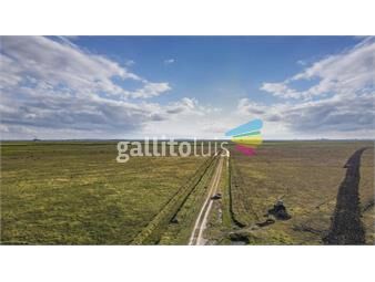 https://www.gallito.com.uy/venta-campo-740-has-rocha-agricola-ganadero-r-7085-inmuebles-23851466