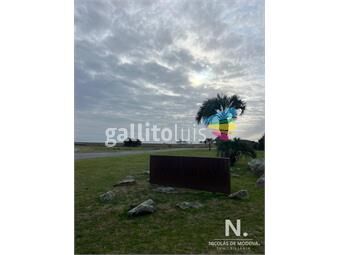 https://www.gallito.com.uy/venta-de-terreno-amplio-en-las-garzas-inmuebles-25985069