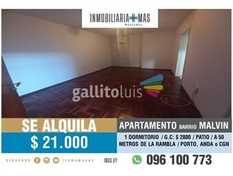 https://www.gallito.com.uy/alquiler-apartamento-montevideo-1-dormitorio-patio-as-inmuebles-25978696