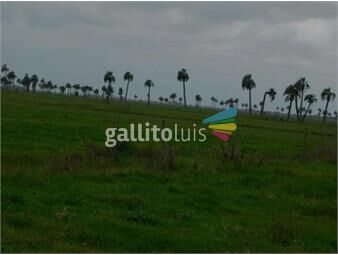 https://www.gallito.com.uy/vendo-campo-en-san-luis-1245-has-inmuebles-25997984